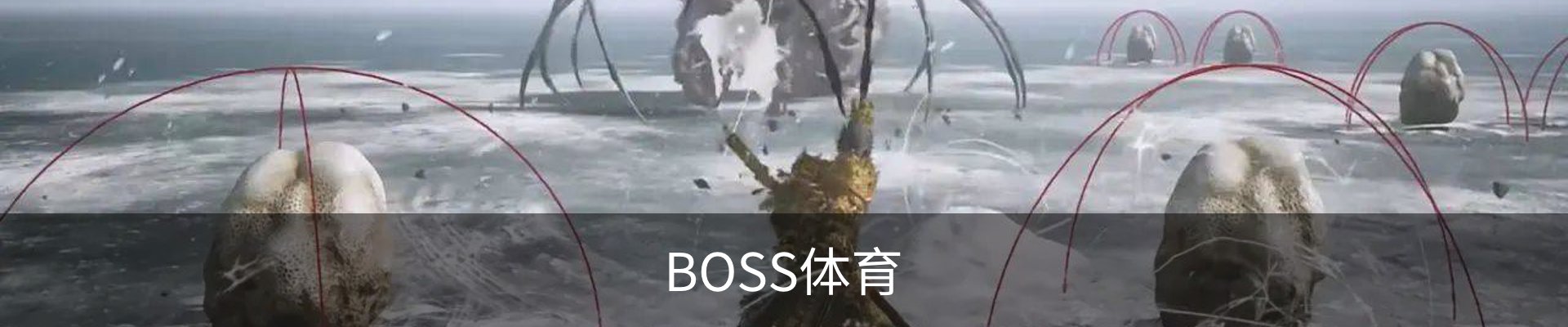 BOSS体育